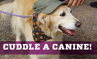 It's that time! Improve your mood by cuddling a few dogs on April 18